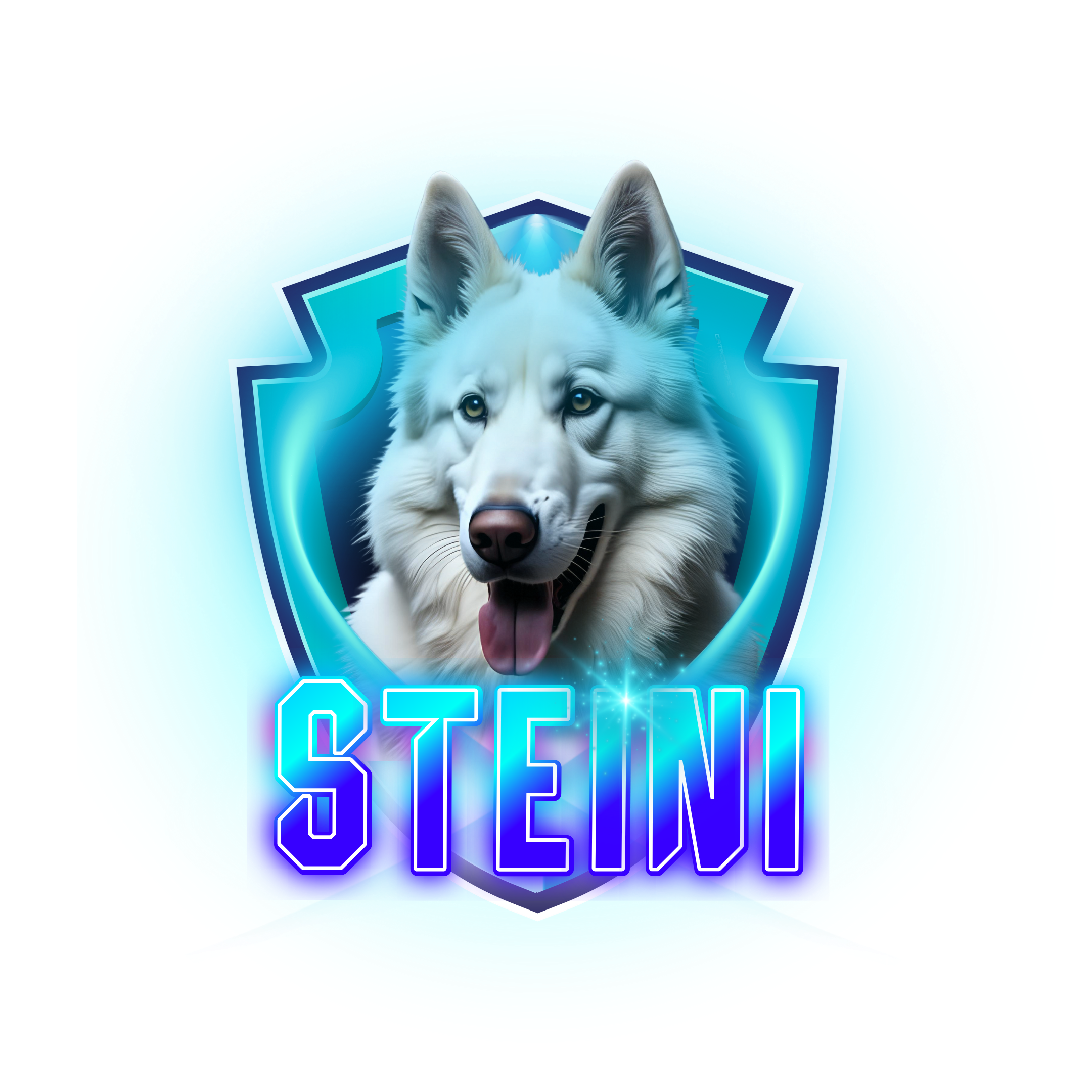 Avatar von Steini